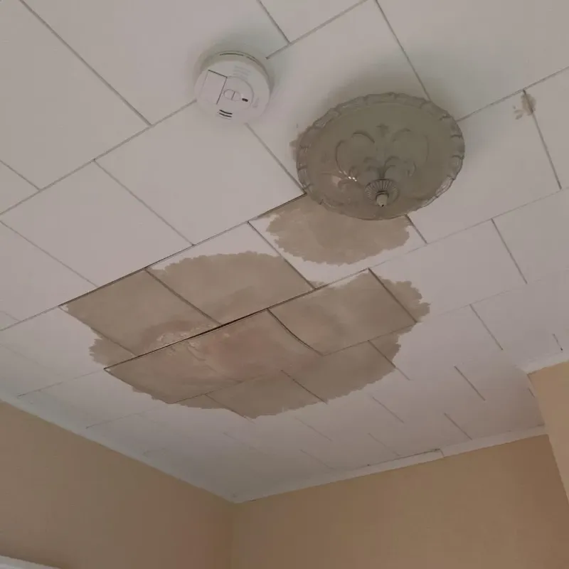 Ceiling Water Damage Repair in Stambaugh Iron River, MI
